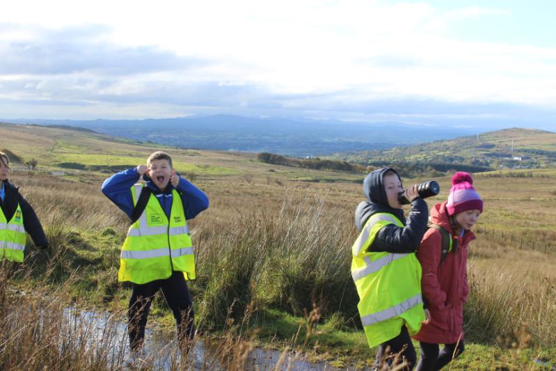 Belfast Hills - Innovation Project - Groundswell